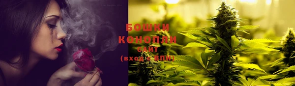 кокс Аша