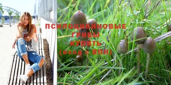 Альфа ПВП Новозыбков