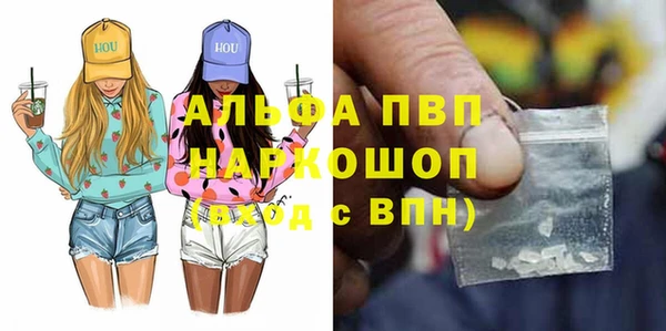 Альфа ПВП Новозыбков